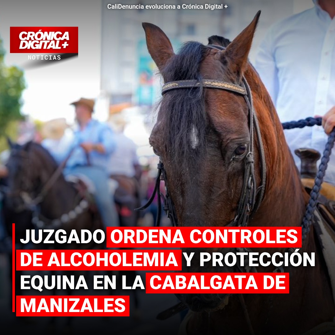 Juzgado ordena controles de alcoholemia y protección equina en la cabalgata de Manizales