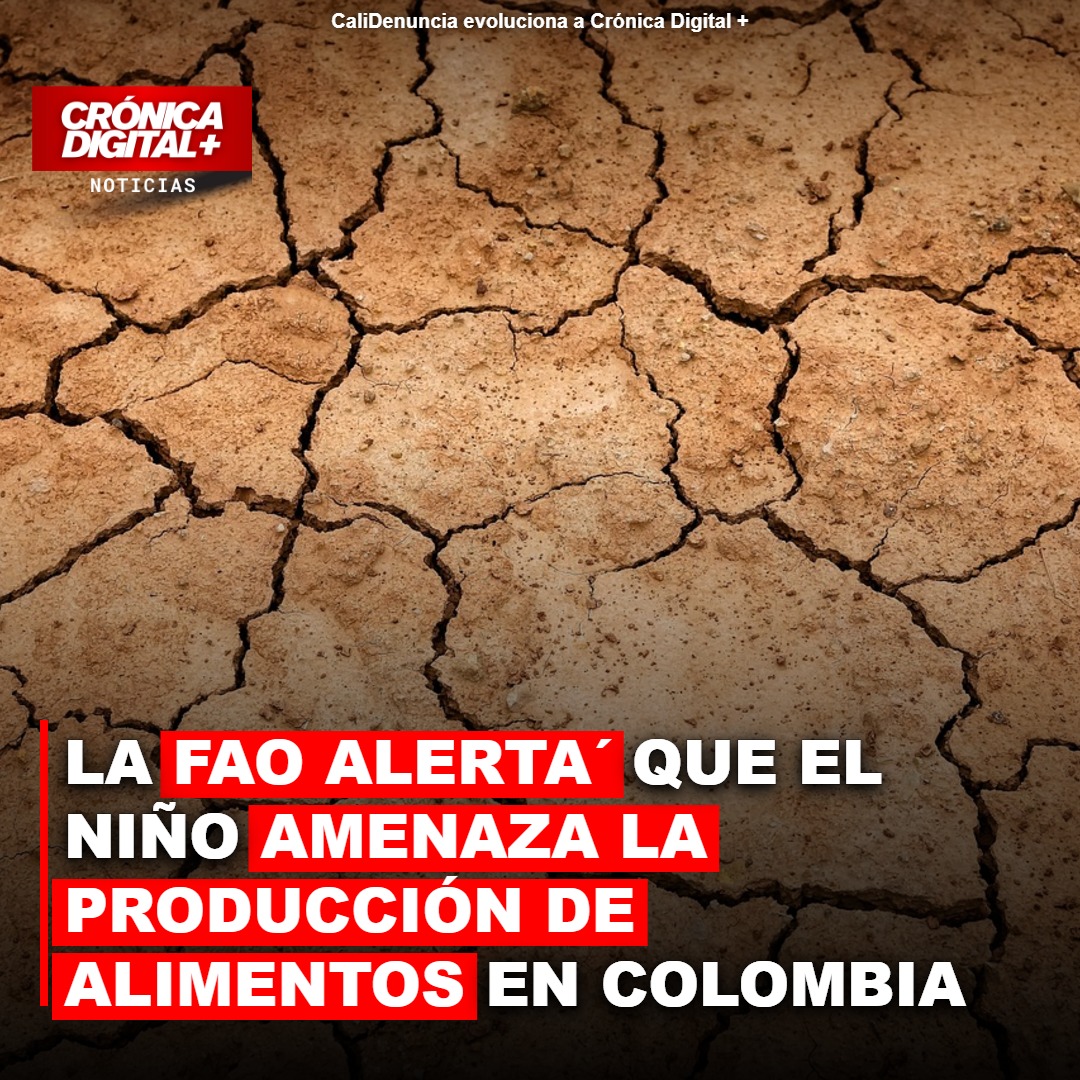 La FAO alerta que el Niño amenaza la producción de alimentos en Colombia