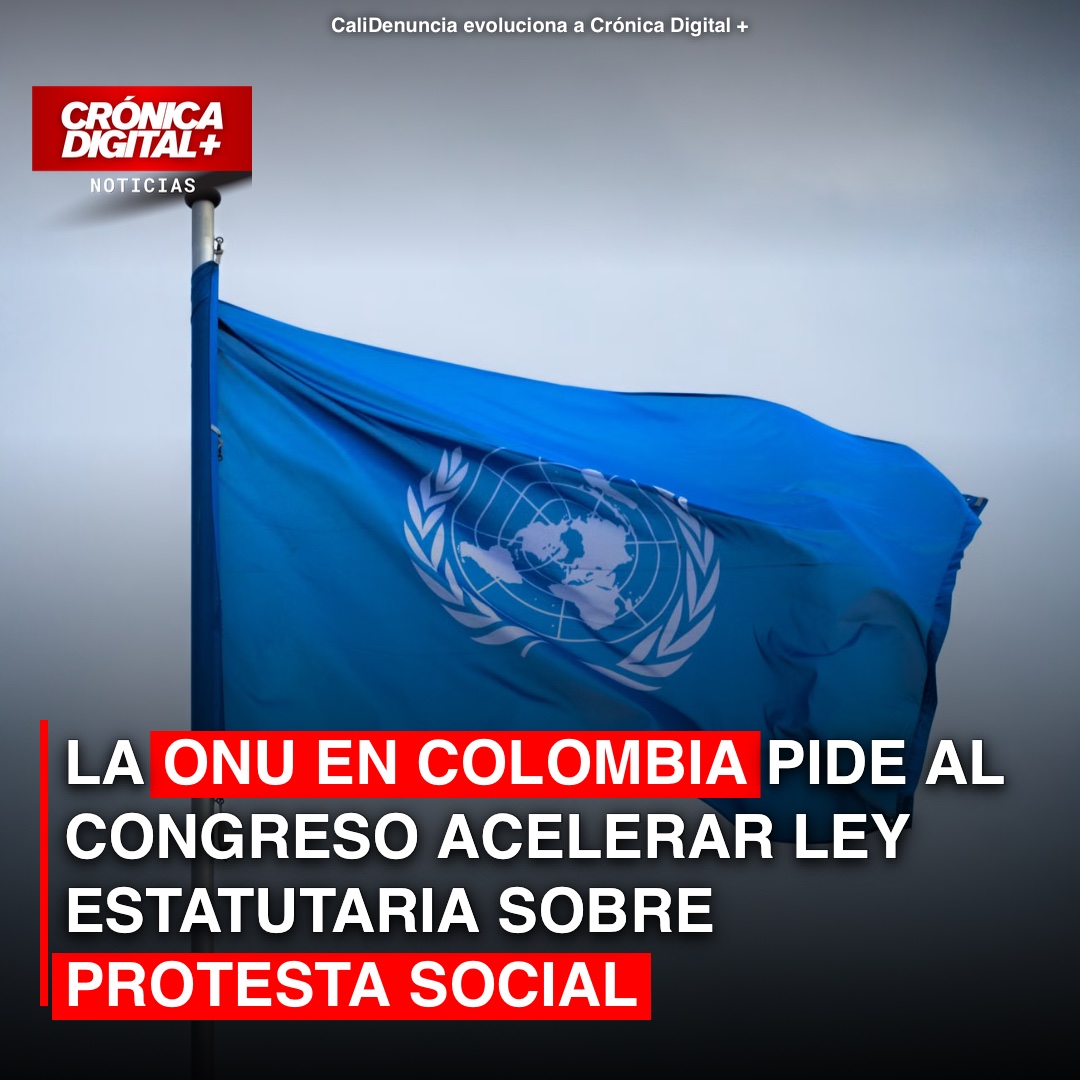 La ONU en Colombia pide al Congreso acelerar ley estatutaria sobre protesta social