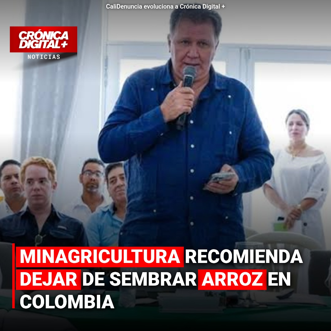 MinAgricultura sugiere cambiar arroz por marañón ante crisis sectorial