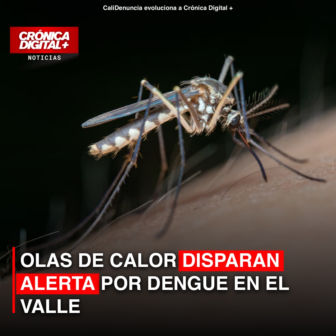 Olas de calor elevan alerta por dengue en el Valle del Cauca