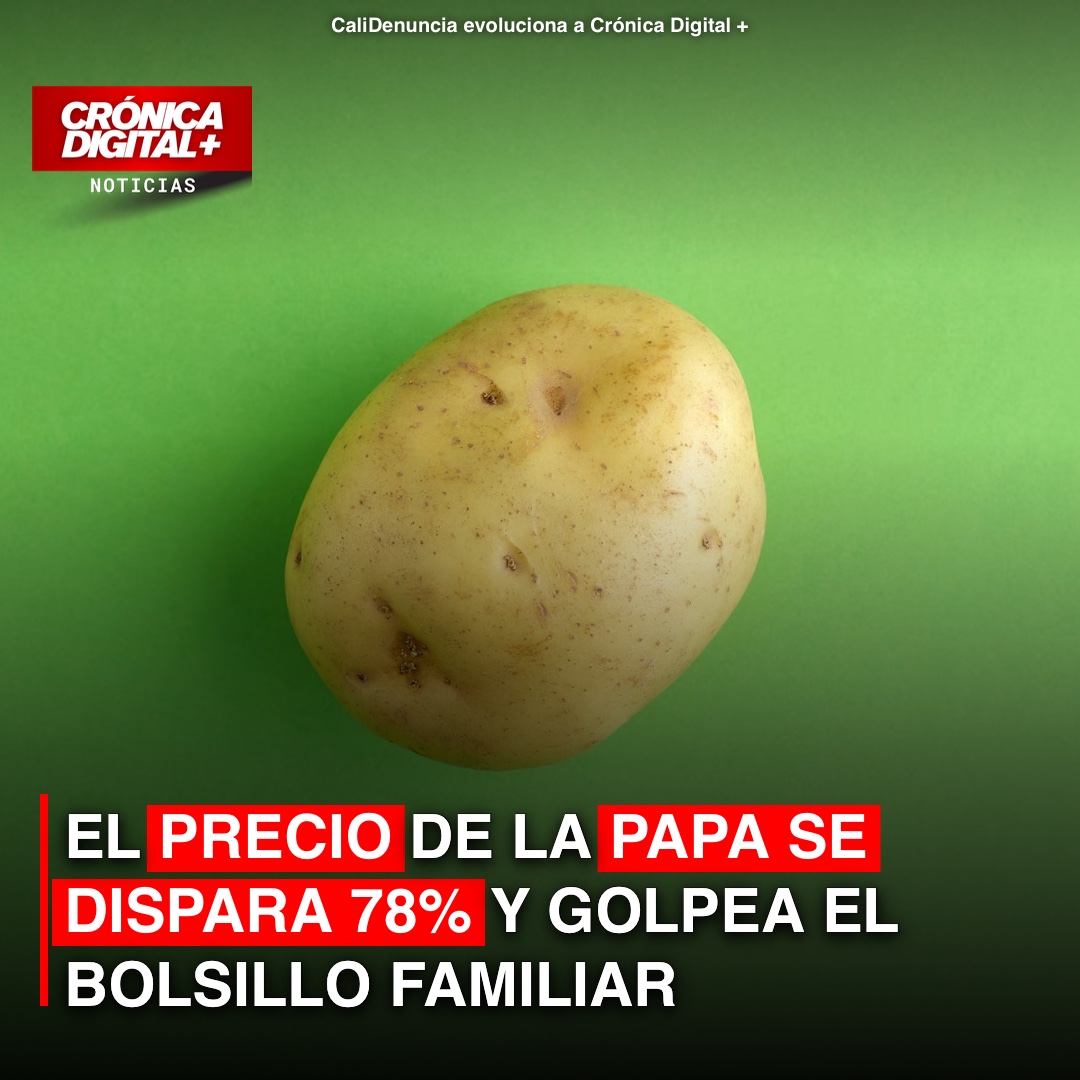 Papa sube 78,24 % en Colombia e impulsa la inflación anual al 6,29 %