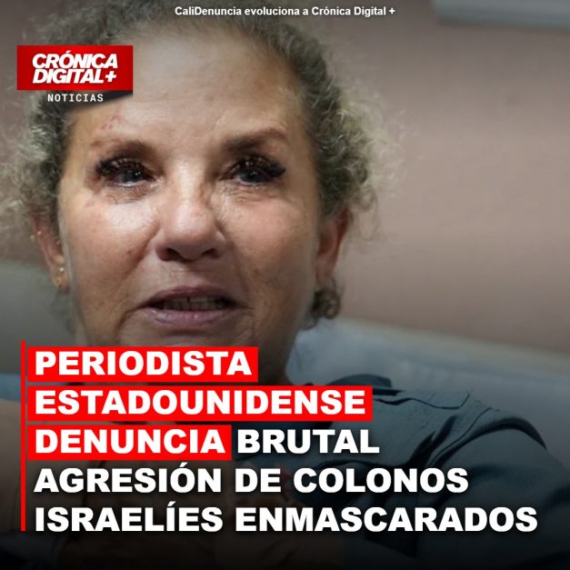 Periodista estadounidense Heidi Levine denuncia brutal agresión de colonos israelíes enmascarados