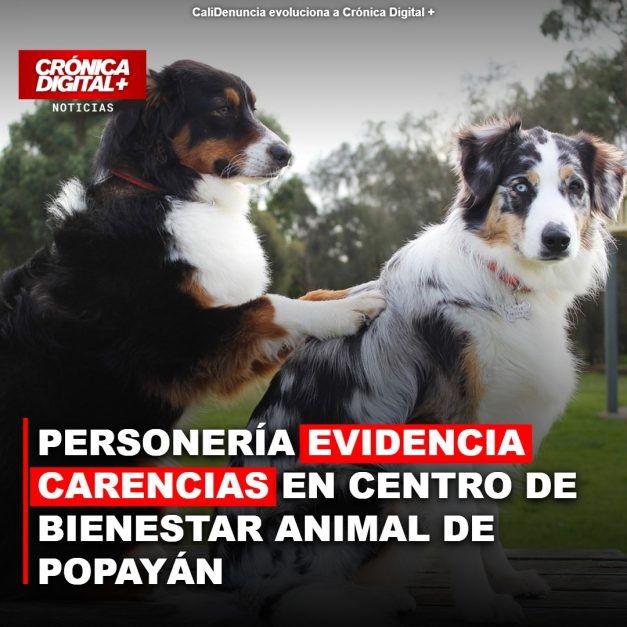 Personería evidencia carencias en Centro de Bienestar Animal de Popayán