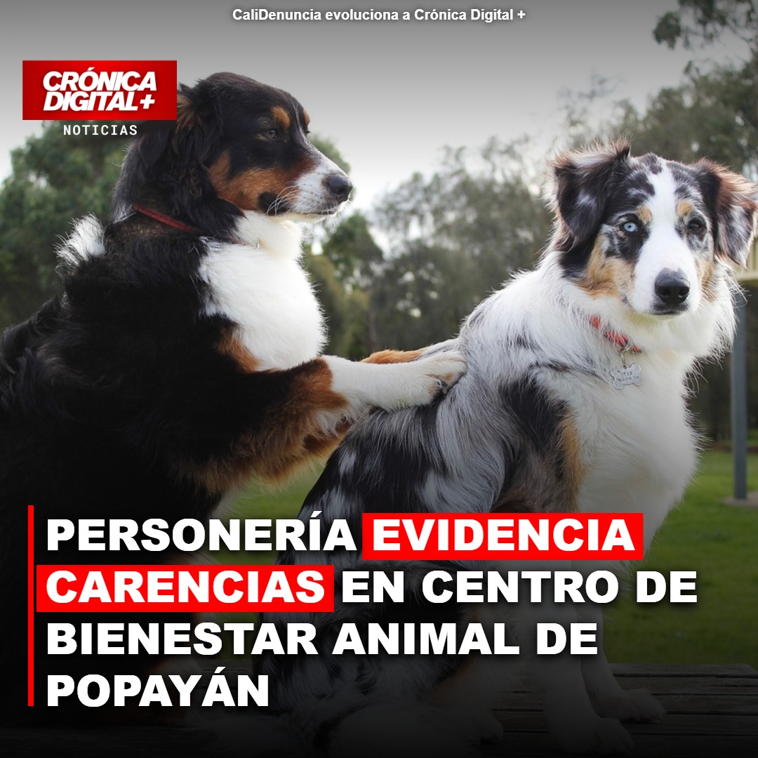 Personería evidencia carencias en Centro de Bienestar Animal de Popayán