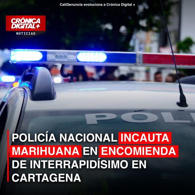 Policía incauta 15 kilos de marihuana en encomienda en Cartagena