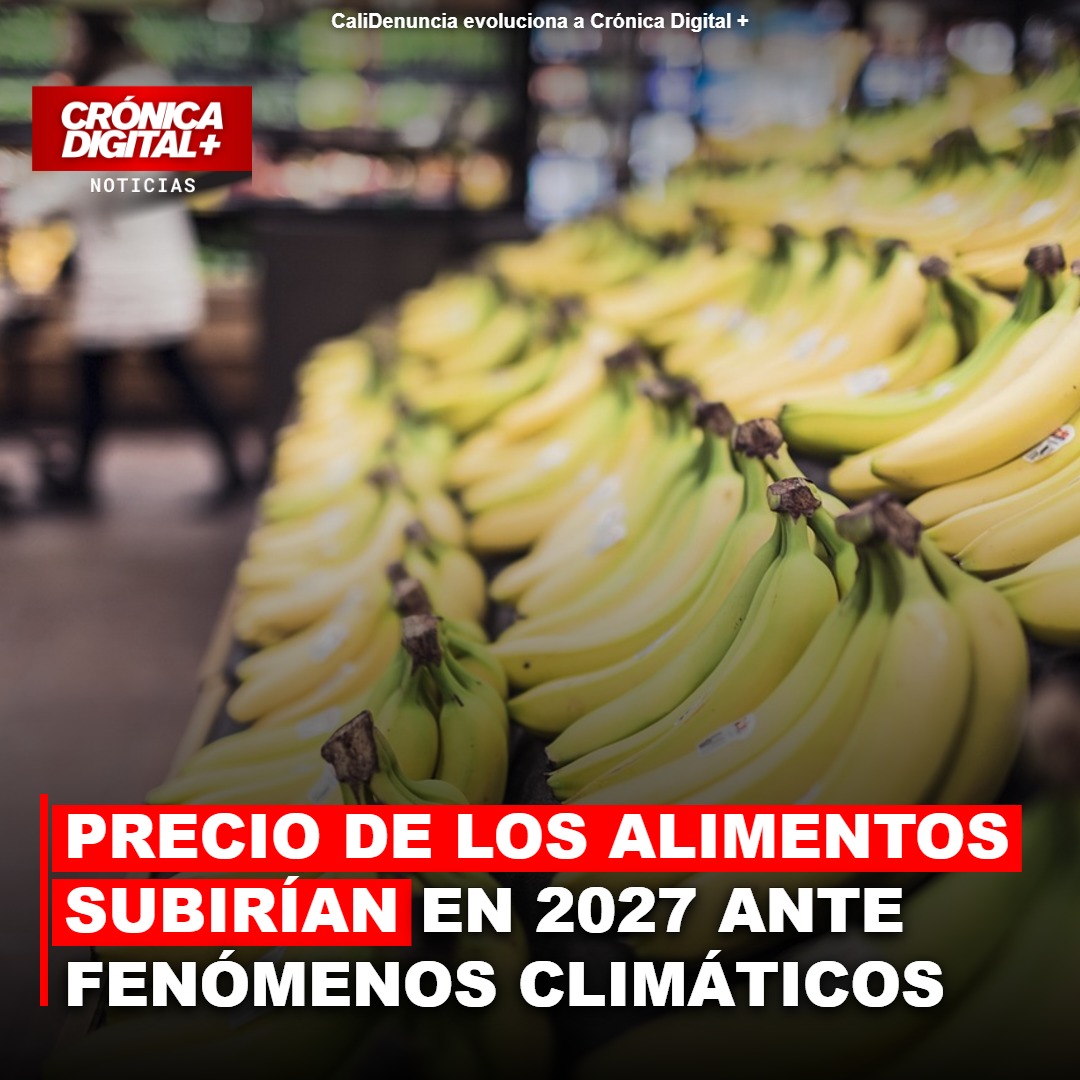 Precio de los alimentos en Colombia subiría durante 2027 ante fenómenos climáticos