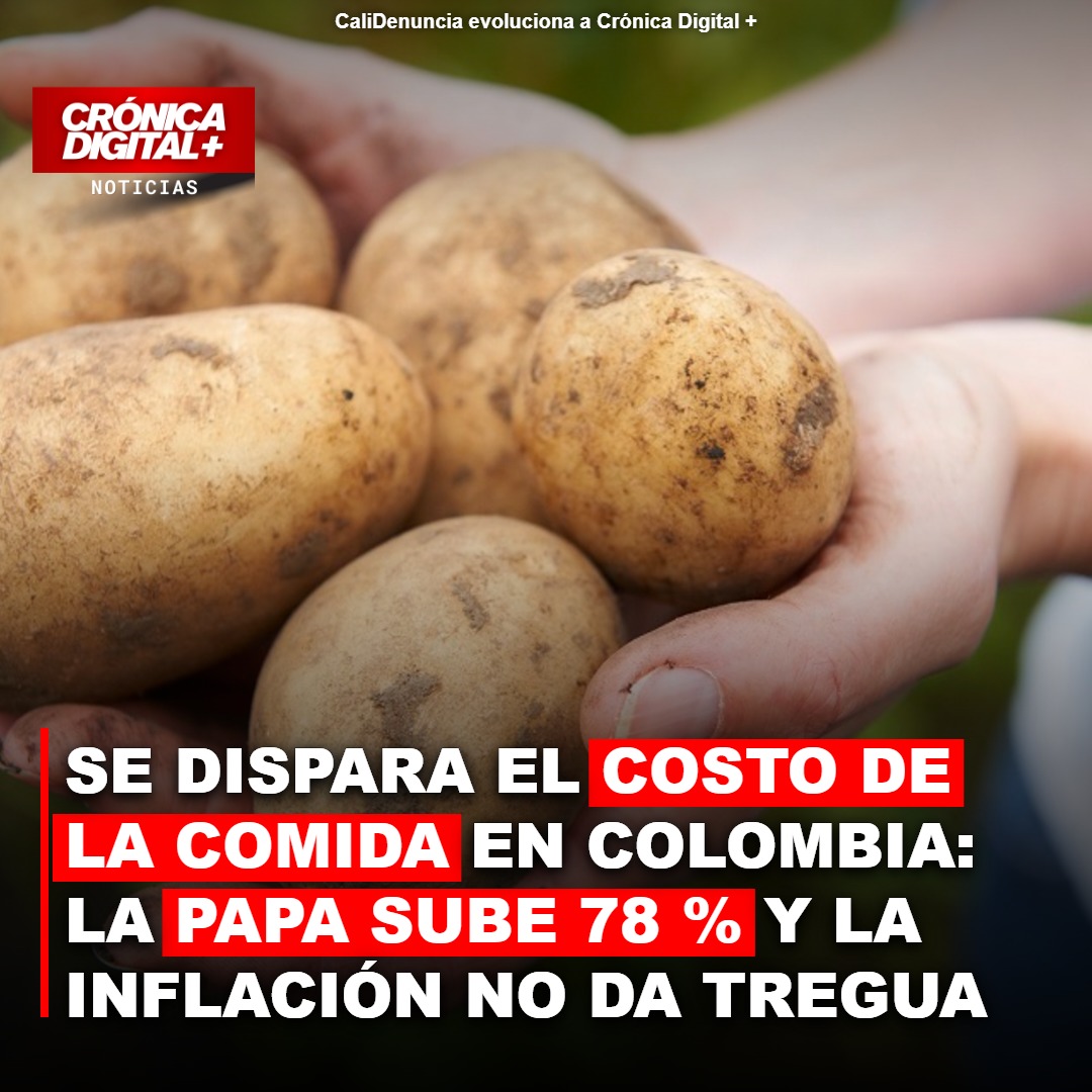 Se dispara el costo de la comida en Colombia: la papa sube 78 % y la inflación no da tregua
