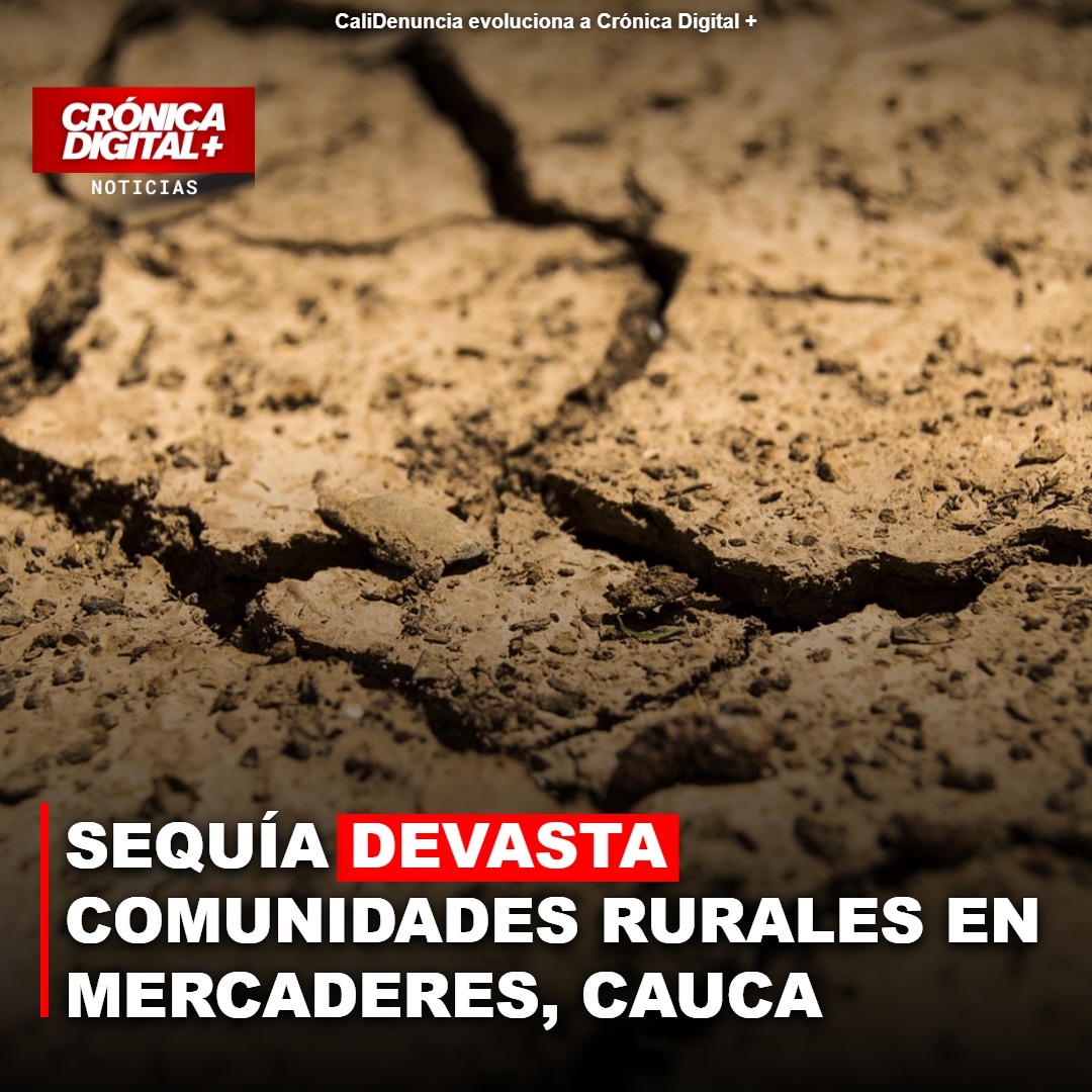 Sequía devasta comunidades rurales en Mercaderes, Cauca