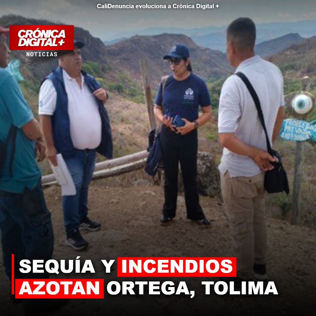 Sequía y incendios azotan Ortega, Tolima