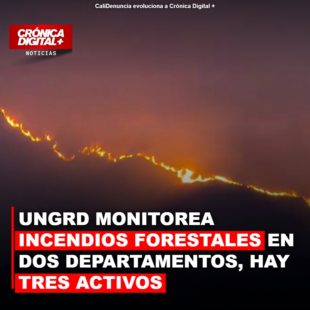 UNGRD monitorea tres incendios forestales activos en dos departamentos