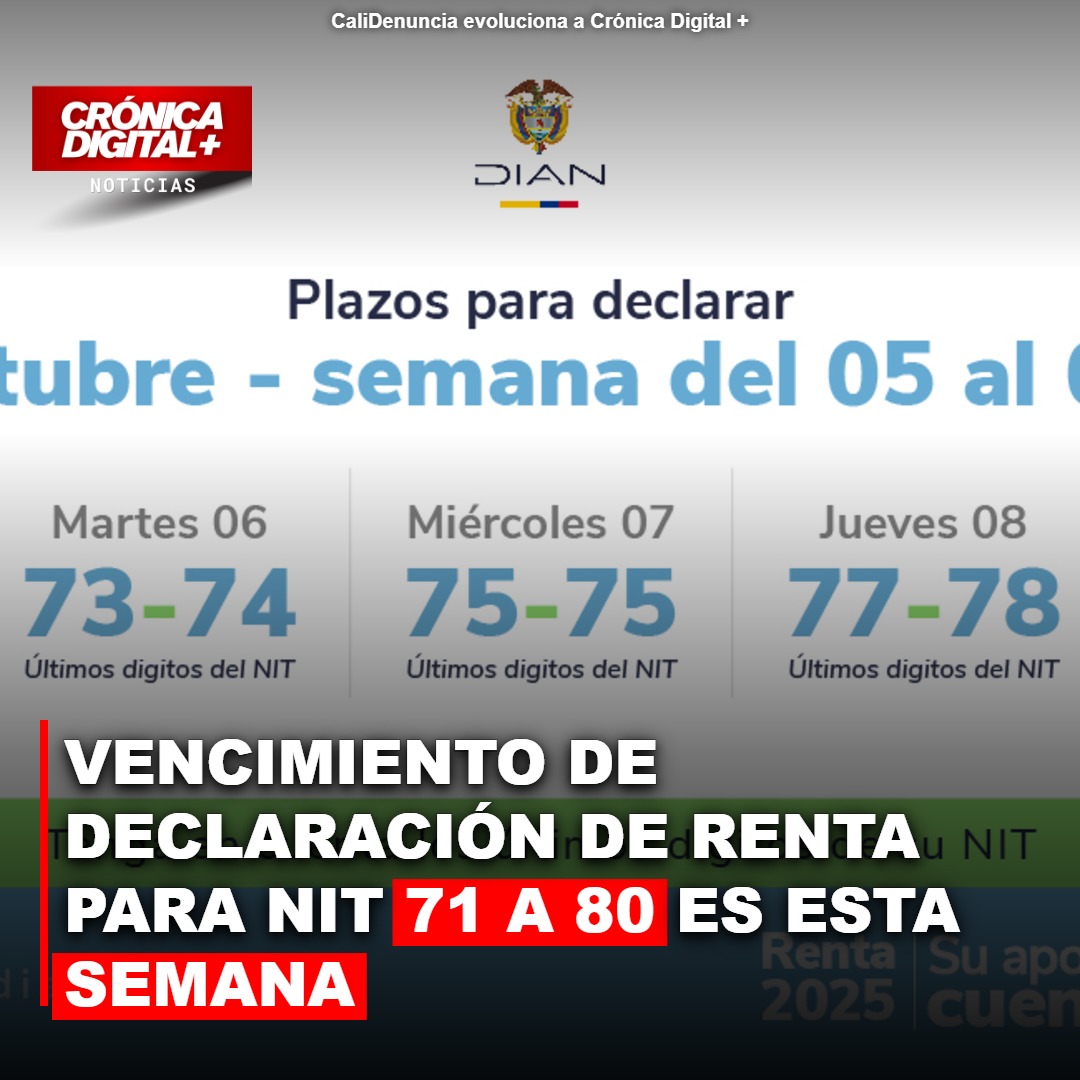 Vencimiento de Declaración de Renta para NIT 71 a 80 es esta semana