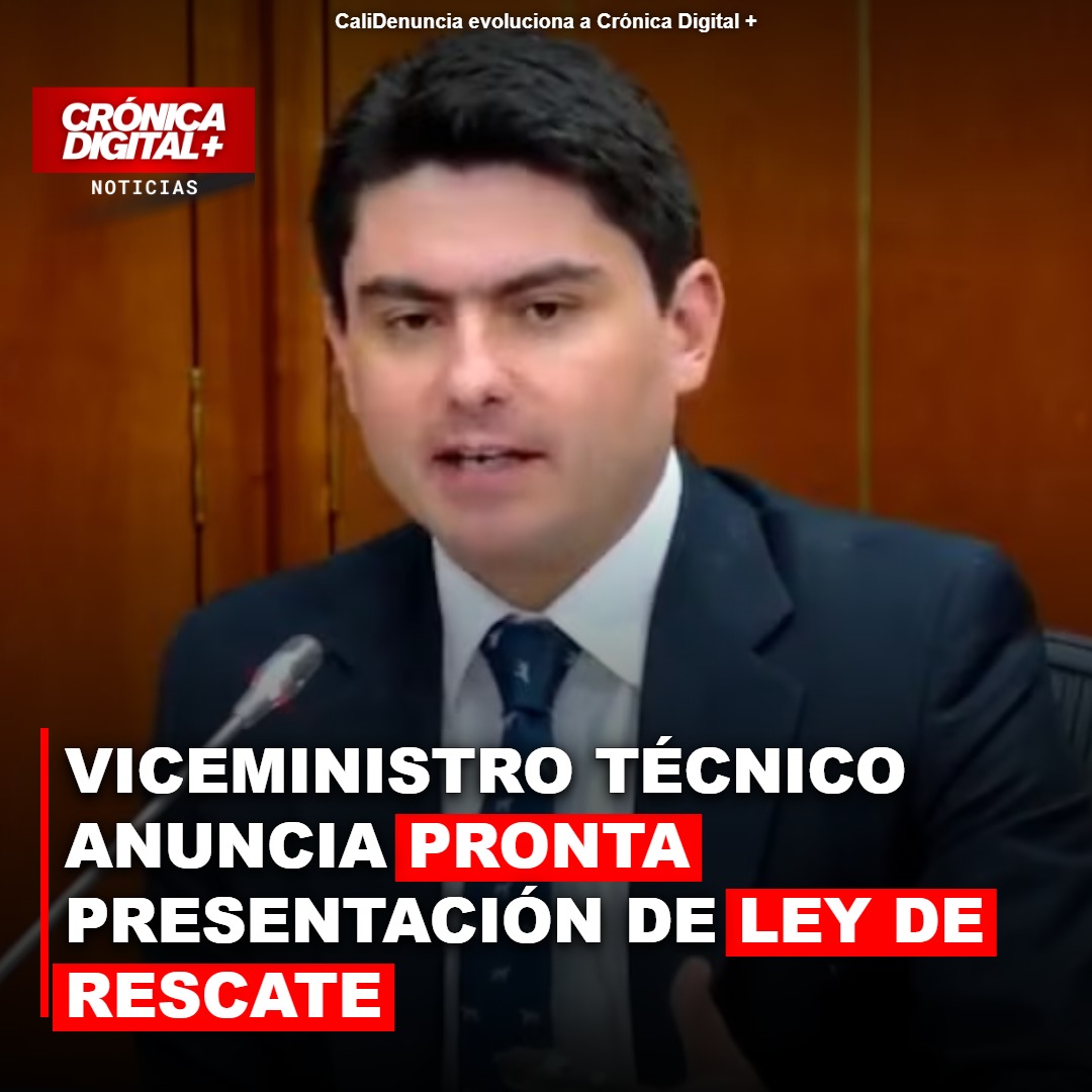 Viceministro técnico anuncia pronta presentación de Ley de Rescate